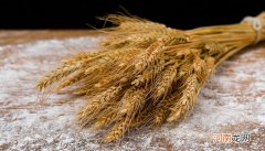 夏季面粉正确储存方法