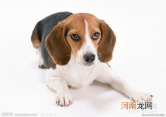 怎么去掉图片上的水印?