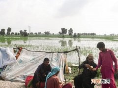 法新社：全球气候峰会迎来为发展中国家融资环节 穷国富国凸现分歧