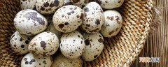 鹌鹑蛋和鸽子蛋的区别