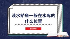 淡水鲈鱼一般在水库的什么位置