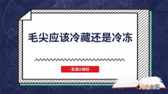 毛尖应该冷藏还是冷冻