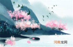 电子商务公司名字大全参考 电子商务公司取名创意