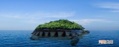 乌龟和海龟的区别