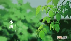 小满见三新指的是什么