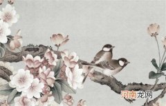 2023本命年犯太岁的属相 佩戴什么比较好