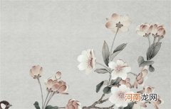 2023本命年可以结婚吗属兔女 佩戴什么转运