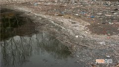 水体污染的四个危害