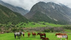 吉尔吉斯斯坦主要经济来源