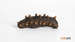 南海八珍是什么