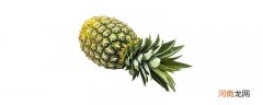 凤梨跟菠萝的区别