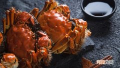 发财蟹是淡水还是海水