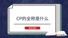 cp的全称是什么