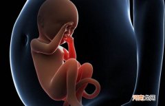 试管婴儿哪里做得最好成功率最高 试管婴儿哪里