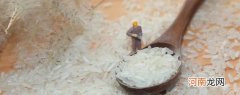 速食米饭的米是什么米