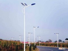 在哪里能买到雪茄 在哪里能买