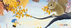 松鼠和老鼠是同类吗 松鼠和老鼠是不是同类