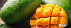 高乐蜜芒果要放软才可以吃吗 高乐蜜芒果要不要放软才吃