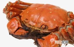 咳嗽可以吃大闸蟹吗 感冒吃大闸蟹会加重吗