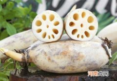 莲藕炖汤用七孔还是九孔好？莲藕炖汤要多久