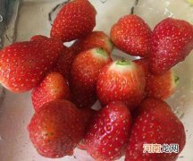 草莓发霉了旁边的还能吃吗？减肥能吃草莓吗