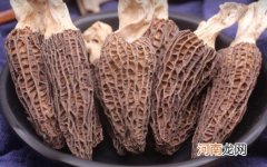 羊肚菌和什么煲汤比较好 羊肚菌要煮多久才能吃