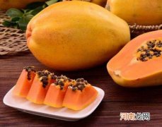 木瓜苦是没熟吗？木瓜牛奶为什么变苦了