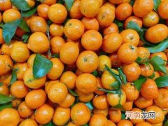 砂糖橘吃多了为什么会变黄？砂糖橘外皮掉粉红色的东西还能吃吗