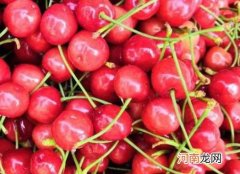 什么颜色的车厘子最好吃？车厘子过了保质期多久不能吃