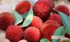 杨梅不放冰箱可以放几天 杨梅不放冰箱怎么保存时间长