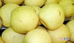 雪花梨长什么样子的图片 雪花梨怎么治咳嗽