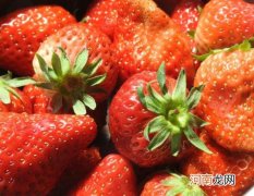 草莓用盐水泡了会不甜吗？如何让草莓保存更长时间