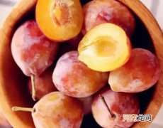 西梅的禁忌有哪些？西梅的营养价值