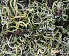 肾精茶搭配什么泡水喝最好？肾精茶有什么副作用