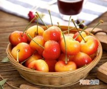 黄金车厘子和红车厘子哪个贵？黄金车厘子和红车厘子哪个好吃