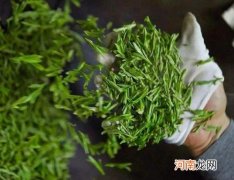龙井茶为什么有些白毛？喝龙井可以减肥吗