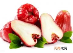 雪莲果和莲雾是一个味吗？雪莲果和莲雾哪个水分多