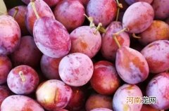 减肥可以吃西梅吗？西梅食用的注意事项