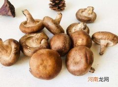 香菇里面发黑了还能要吗？香菇不泡发可以煮吗