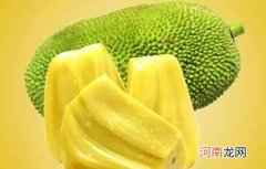 菠萝蜜软到什么程度算熟了？菠萝蜜吃不完放在冷冻里可以吗