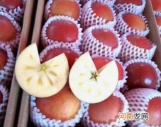 丑苹果为什么叫丑苹果？野生丑苹果有什么营养价值