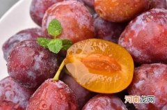 西梅熟透了怎么保存？黑西梅和红西梅区别