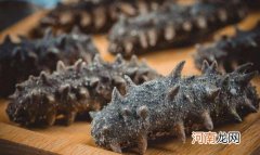 为什么海参泡出来是白色的 干海参发白是发霉了吗