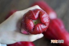 莲雾能和甘蔗一起吃吗？莲雾和青枣哪个营养价值高