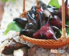 菱角要多久才能煮熟？生吃了菱角怎么补救