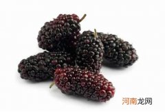 桑葚泡酒用什么酒好？经常吃桑葚对喝酒有提升吗