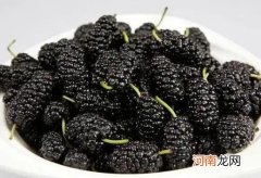 桑葚开水泡还是温水泡好？酸的桑葚怎么变甜