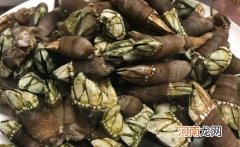 佛手螺可以存放多久 佛手螺可以冷藏保存吗