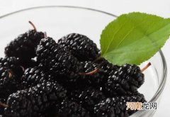 桑葚洗的掉色是不是催熟的？吃了发霉的桑葚要紧吗