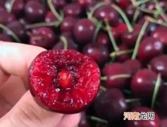 车厘子在常温下能放多久？车厘子怎么看坏没坏